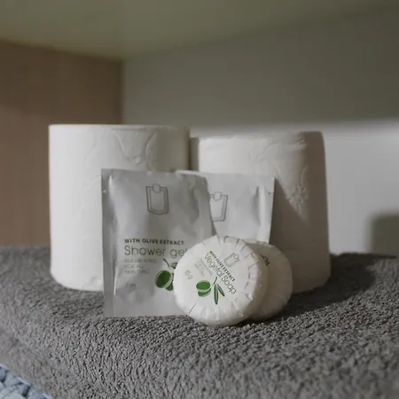 Location G&w, Très Proche Sanctuaires * Lourdes